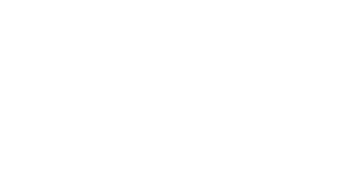 Sygnet Profesor Kompresor